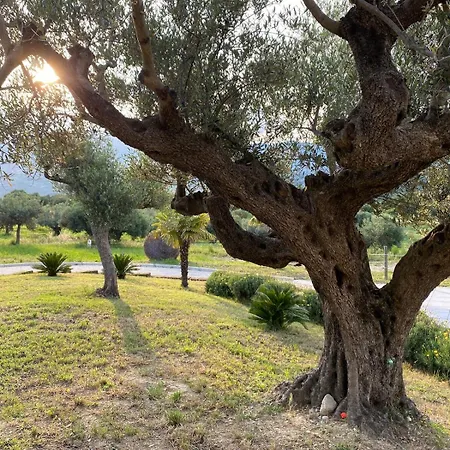 Casalecipriano - With Swimming Pool * Cugnoli