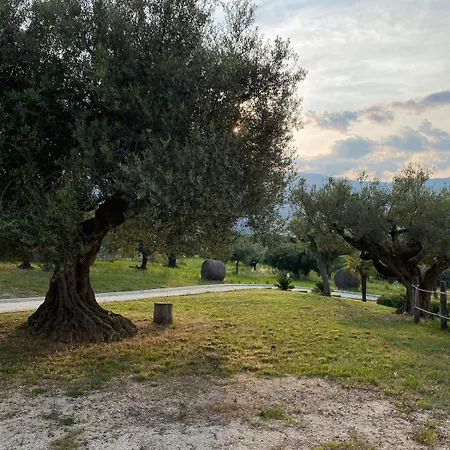 Casalecipriano - With Swimming Pool