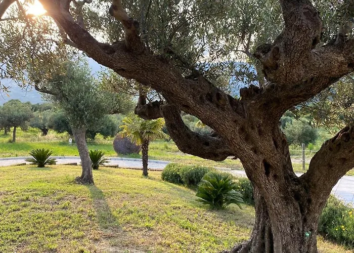 Casalecipriano - With Swimming Pool * Cugnoli