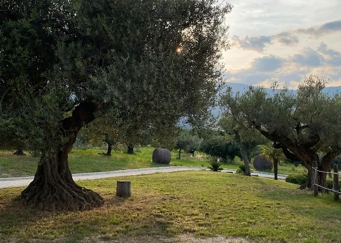 Casalecipriano - With Swimming Pool