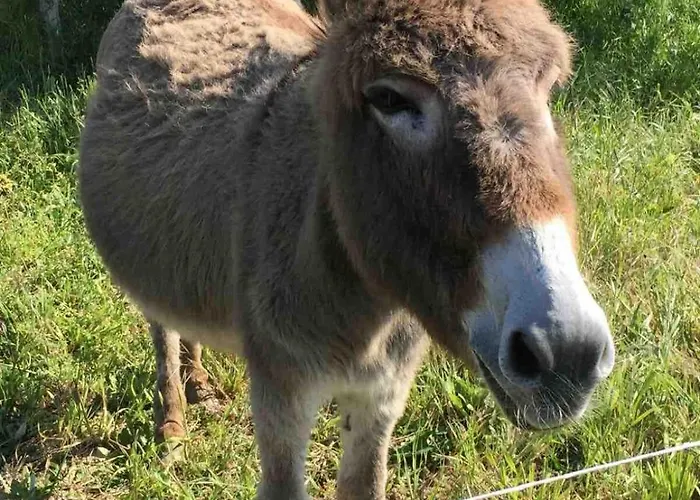 Casalecipriano - With Swimming Pool Prázdninový dům Cugnoli